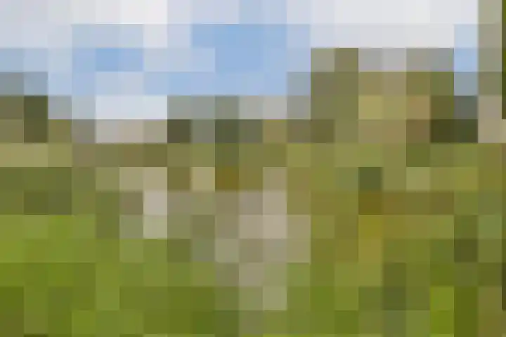 Grubbehoeve 329 Amsterdam thumbnail 31