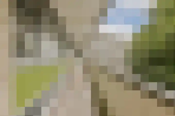 Grubbehoeve 329 Amsterdam thumbnail 4