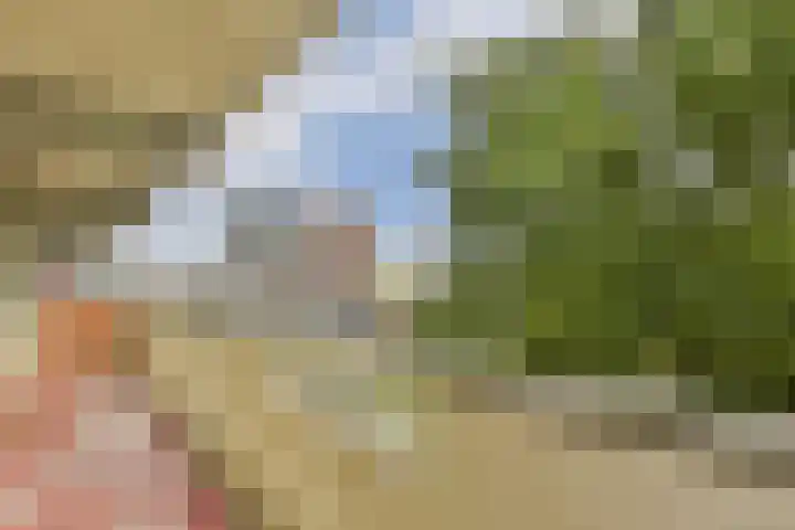 Grubbehoeve 329 Amsterdam thumbnail 7