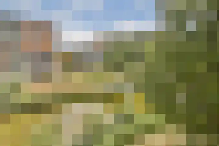 Grubbehoeve 329 Amsterdam thumbnail 8