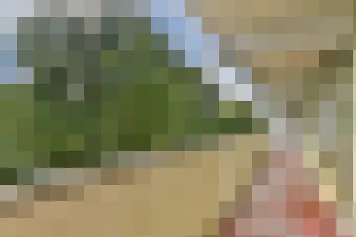 Grubbehoeve 329 Amsterdam thumbnail 9