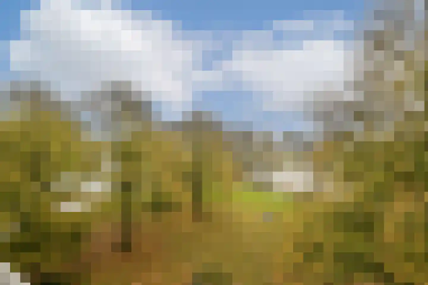Grubbehoeve 418 Amsterdam thumbnail 15