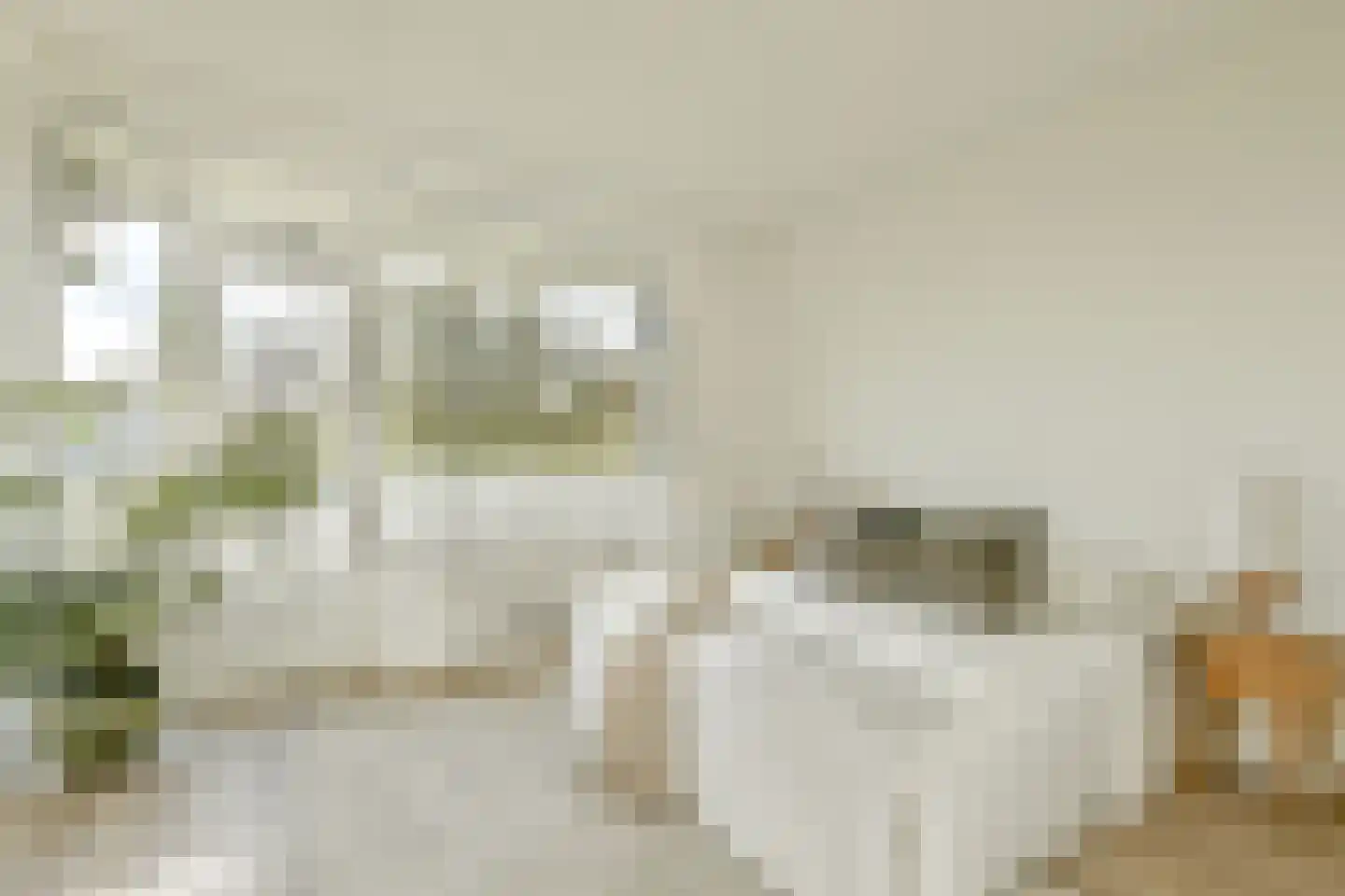 Grubbehoeve 418 Amsterdam thumbnail 16