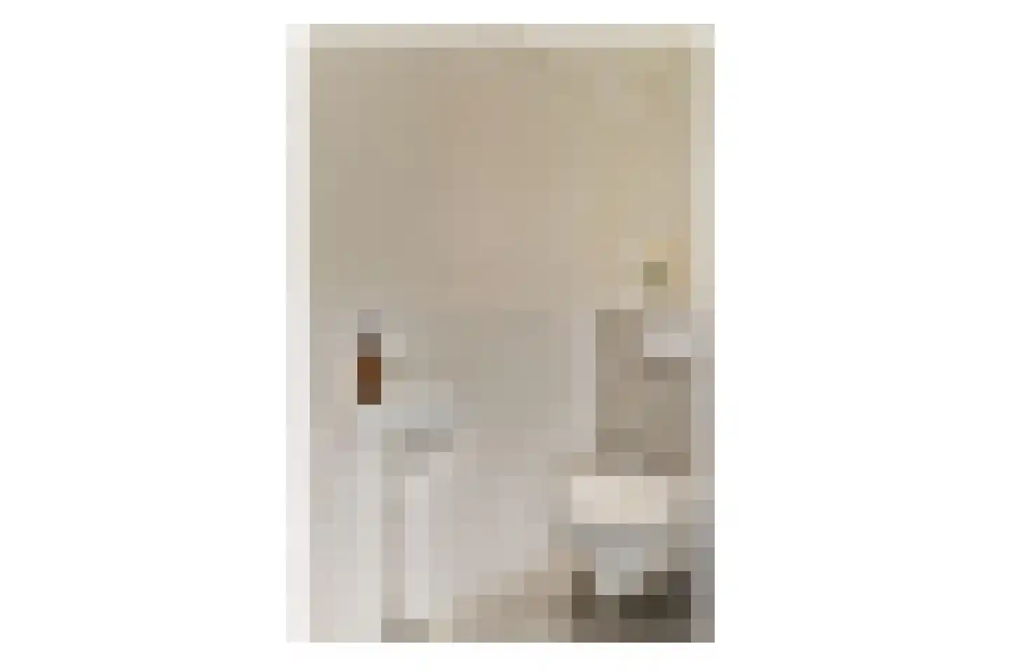 Grubbehoeve 418 Amsterdam thumbnail 21