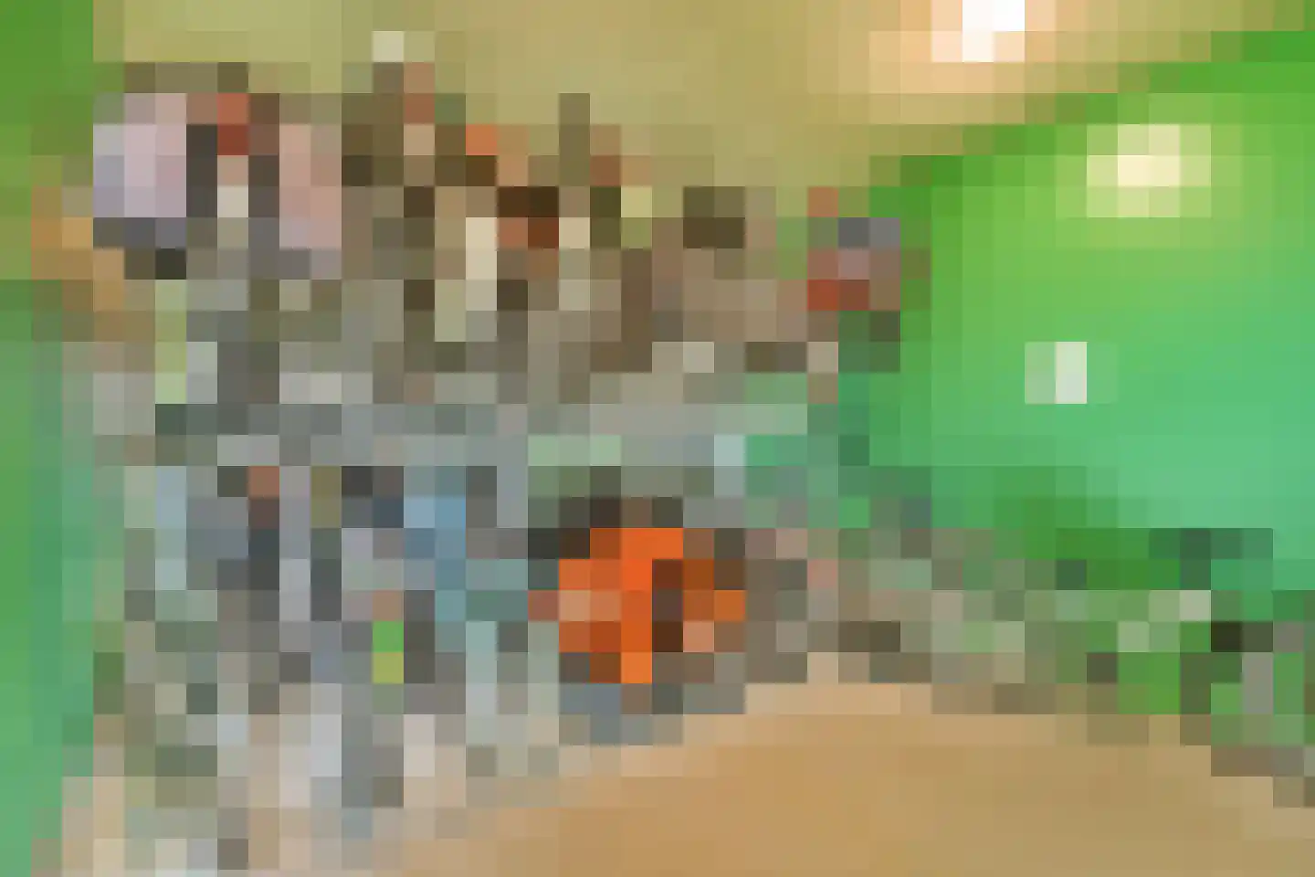 Grubbehoeve 418 Amsterdam thumbnail 23