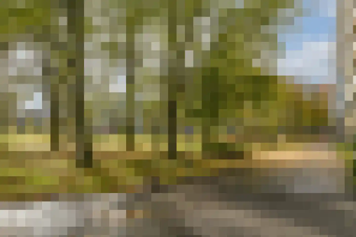Grubbehoeve 418 Amsterdam thumbnail 26