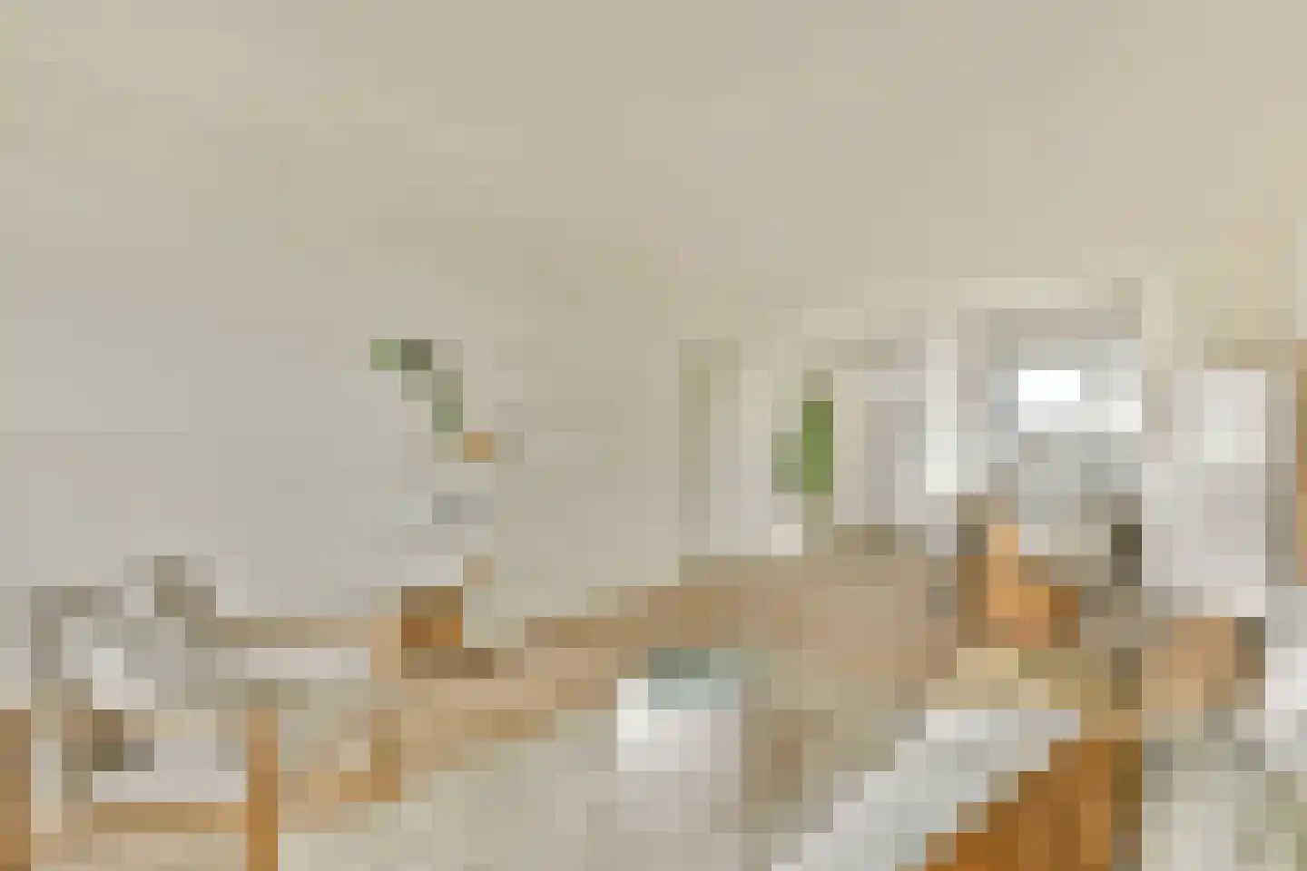 Grubbehoeve 418 Amsterdam thumbnail 6