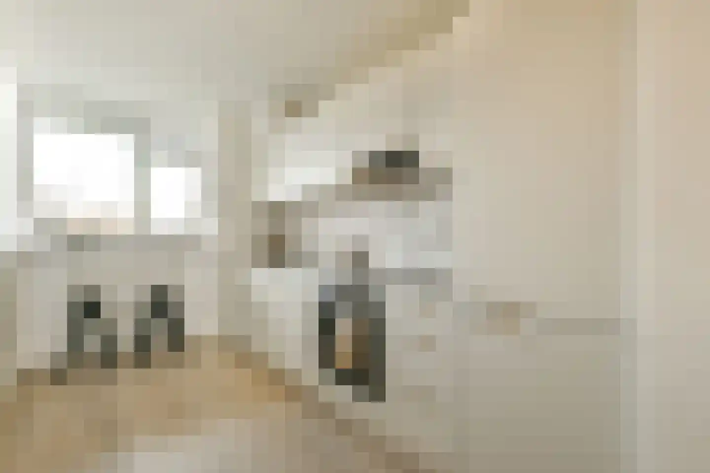 Grubbehoeve 418 Amsterdam thumbnail 8