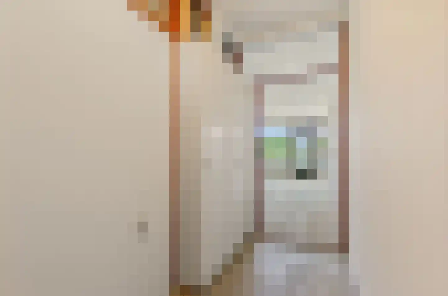Grubbehoeve 426 Amsterdam thumbnail 16