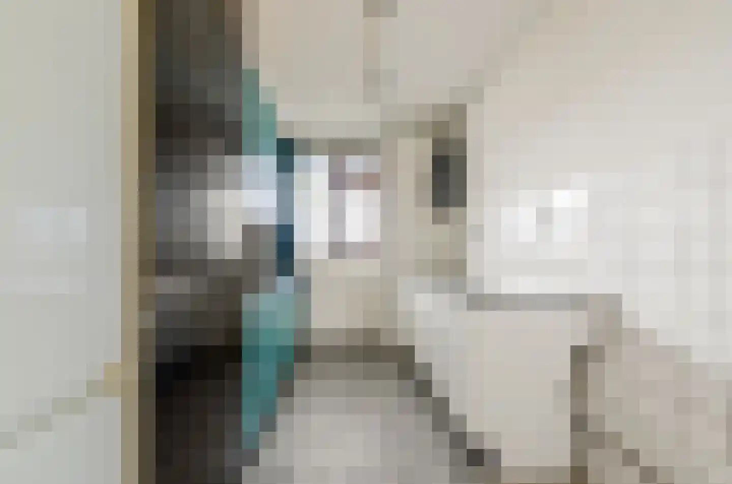 Grubbehoeve 426 Amsterdam thumbnail 20