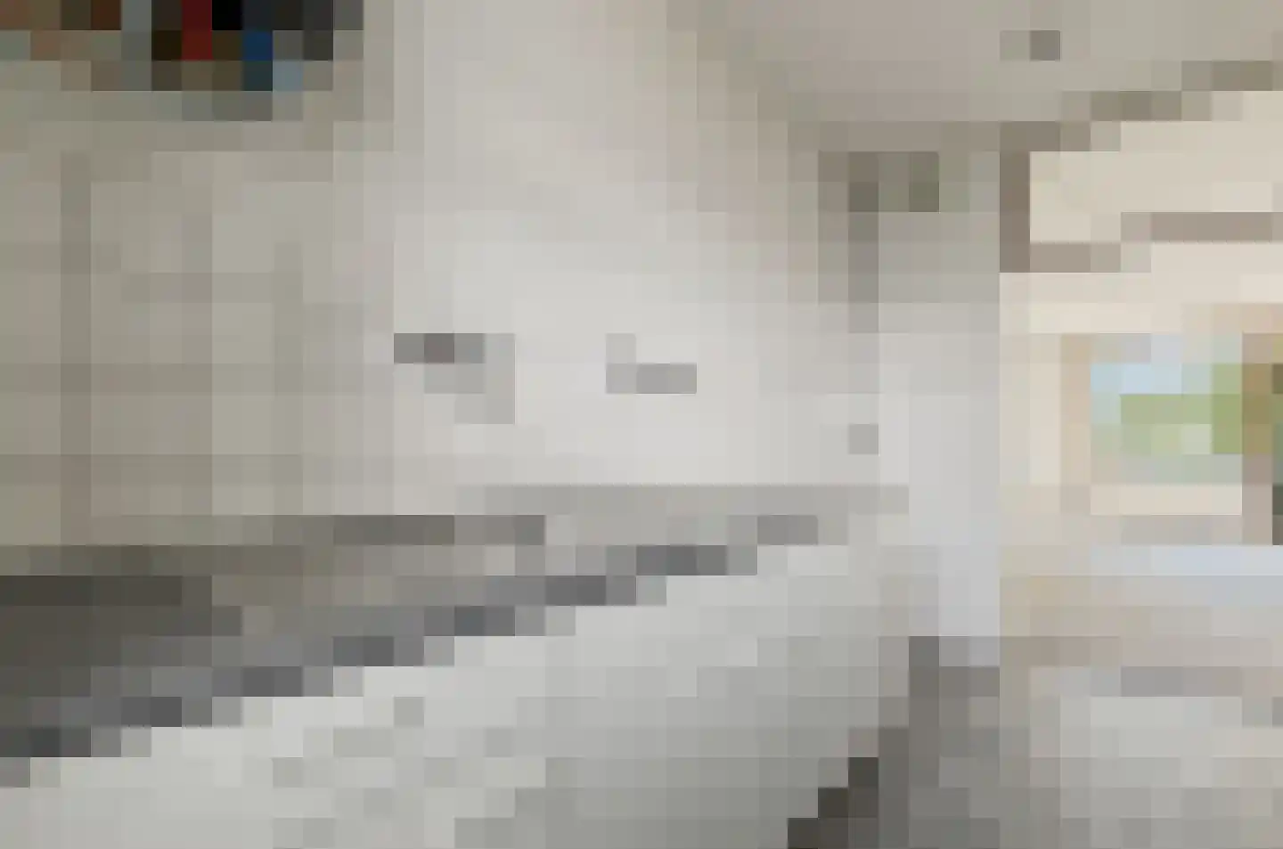 Grubbehoeve 426 Amsterdam thumbnail 21