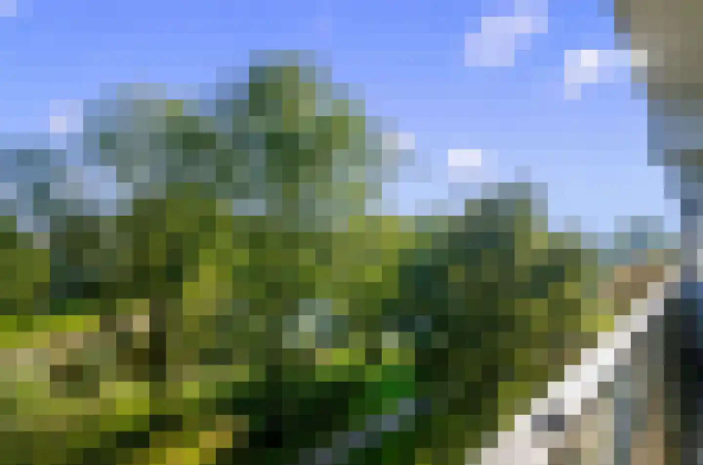 Grubbehoeve 426 Amsterdam thumbnail 35