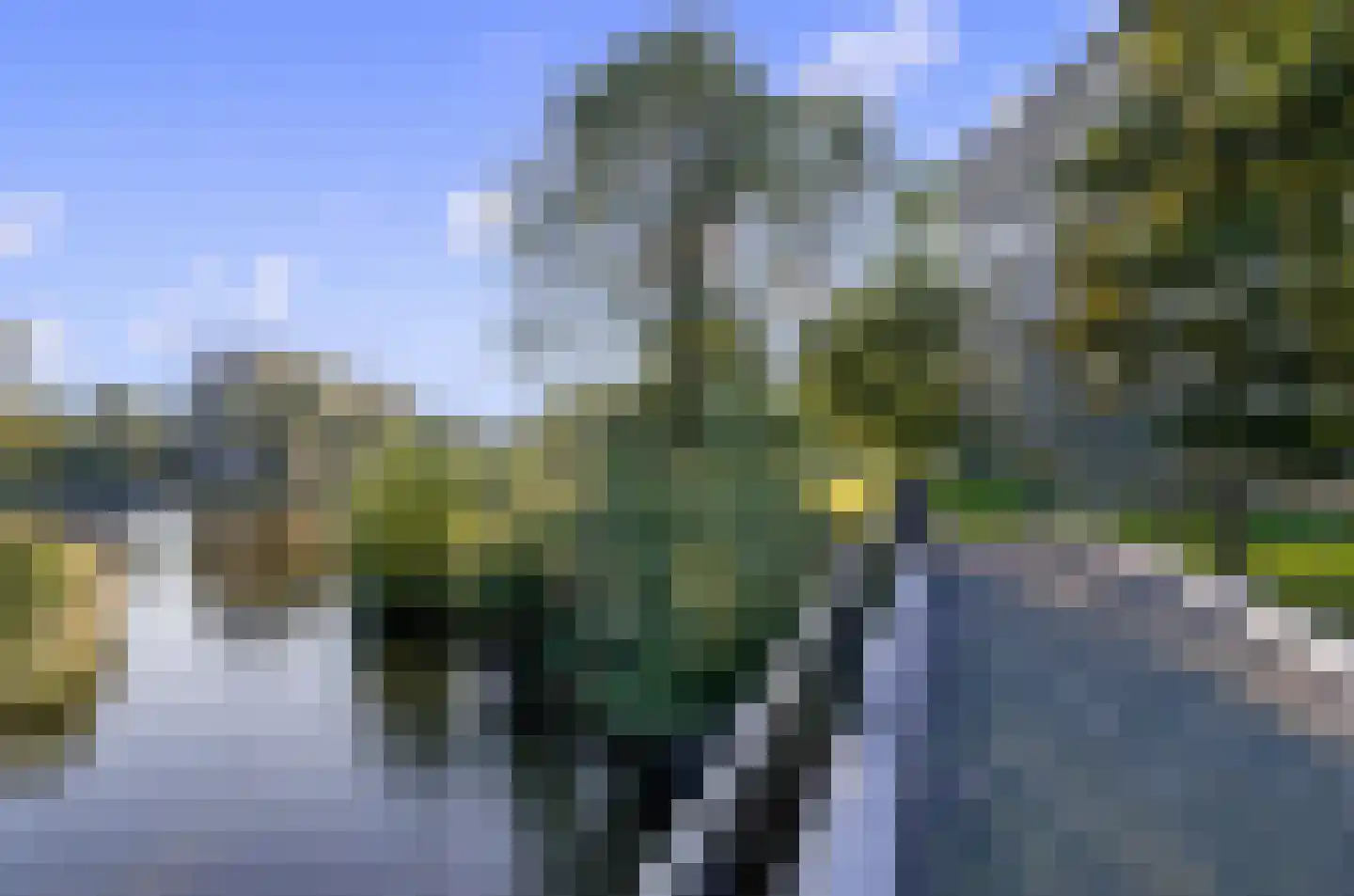 Grubbehoeve 426 Amsterdam thumbnail 39