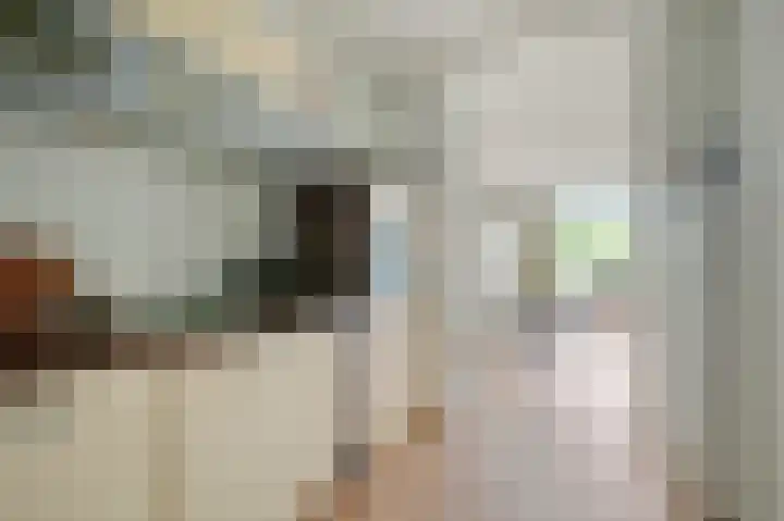 Grubbehoeve 430 Amsterdam thumbnail 13
