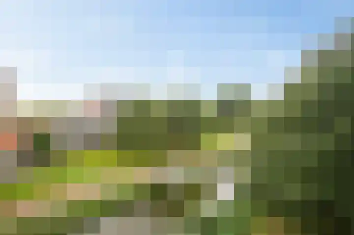Grubbehoeve 430 Amsterdam thumbnail 35