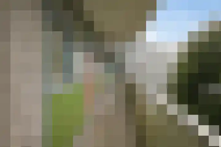 Grubbehoeve 430 Amsterdam thumbnail 37