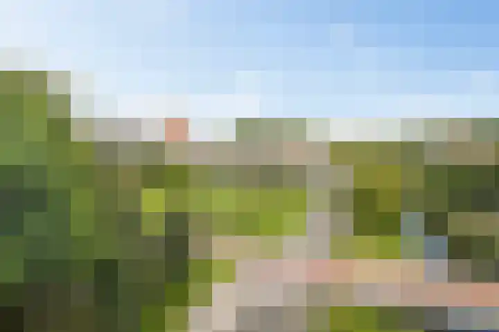 Grubbehoeve 430 Amsterdam thumbnail 38