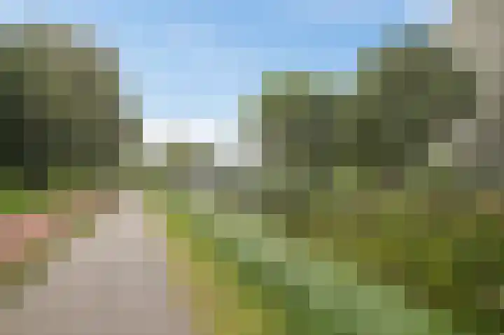 Grubbehoeve 430 Amsterdam thumbnail 40