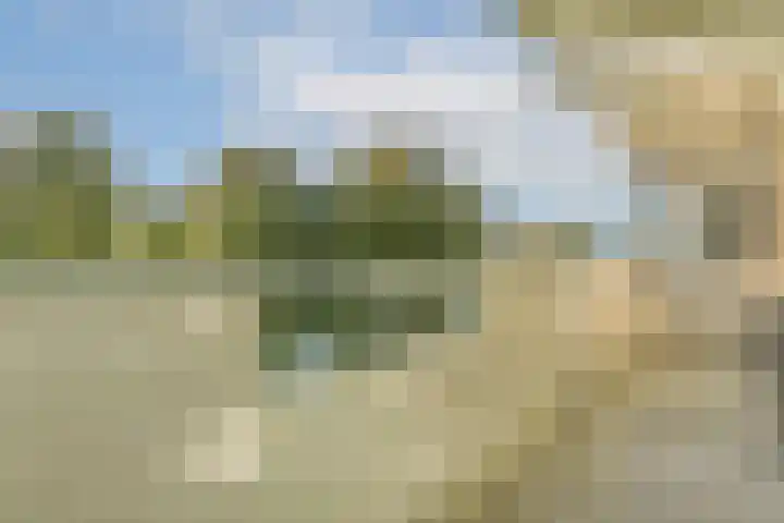 Grubbehoeve 528 Amsterdam thumbnail 12