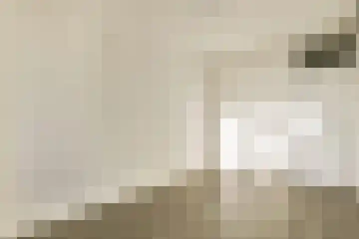 Grubbehoeve 528 Amsterdam thumbnail 16