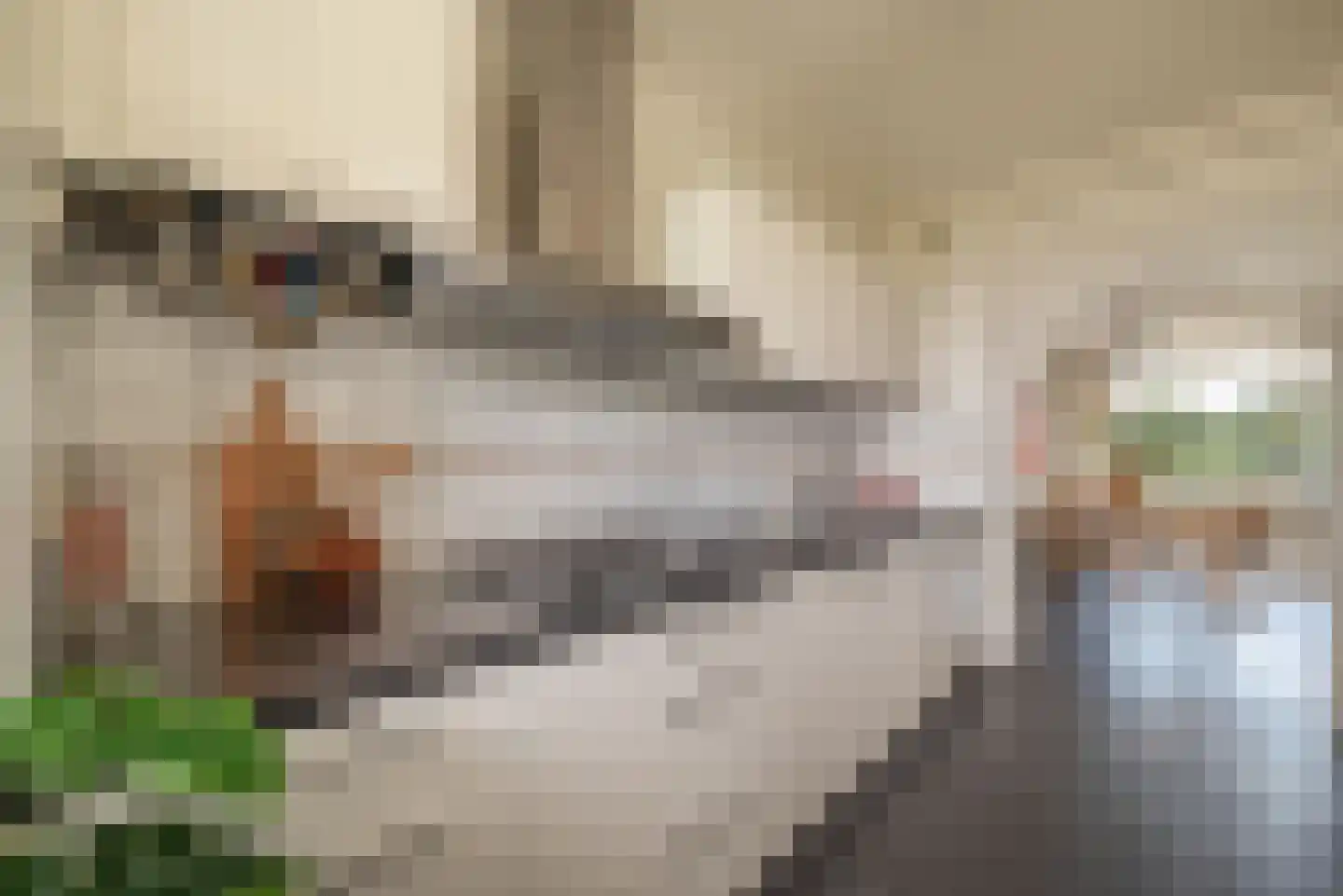 Grubbehoeve 530 Amsterdam thumbnail 10