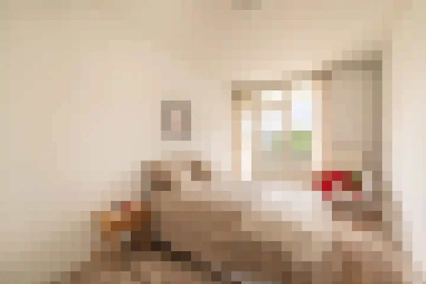 Grubbehoeve 530 Amsterdam thumbnail 11
