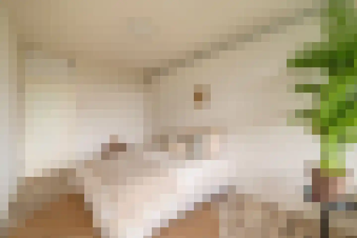 Grubbehoeve 530 Amsterdam thumbnail 16