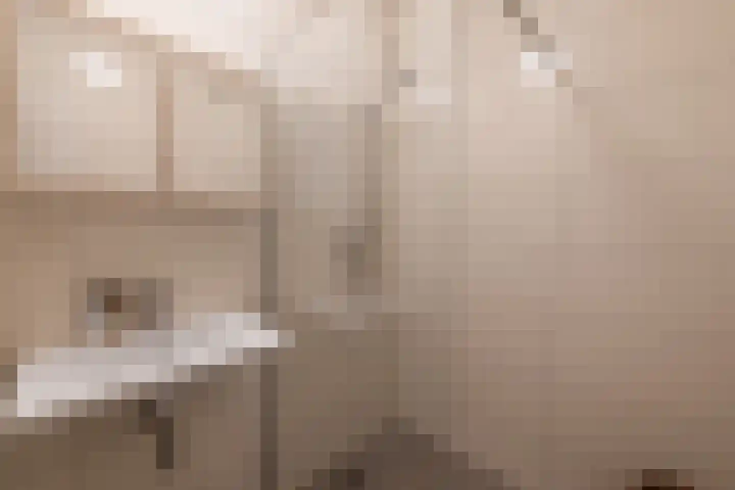 Grubbehoeve 530 Amsterdam thumbnail 18