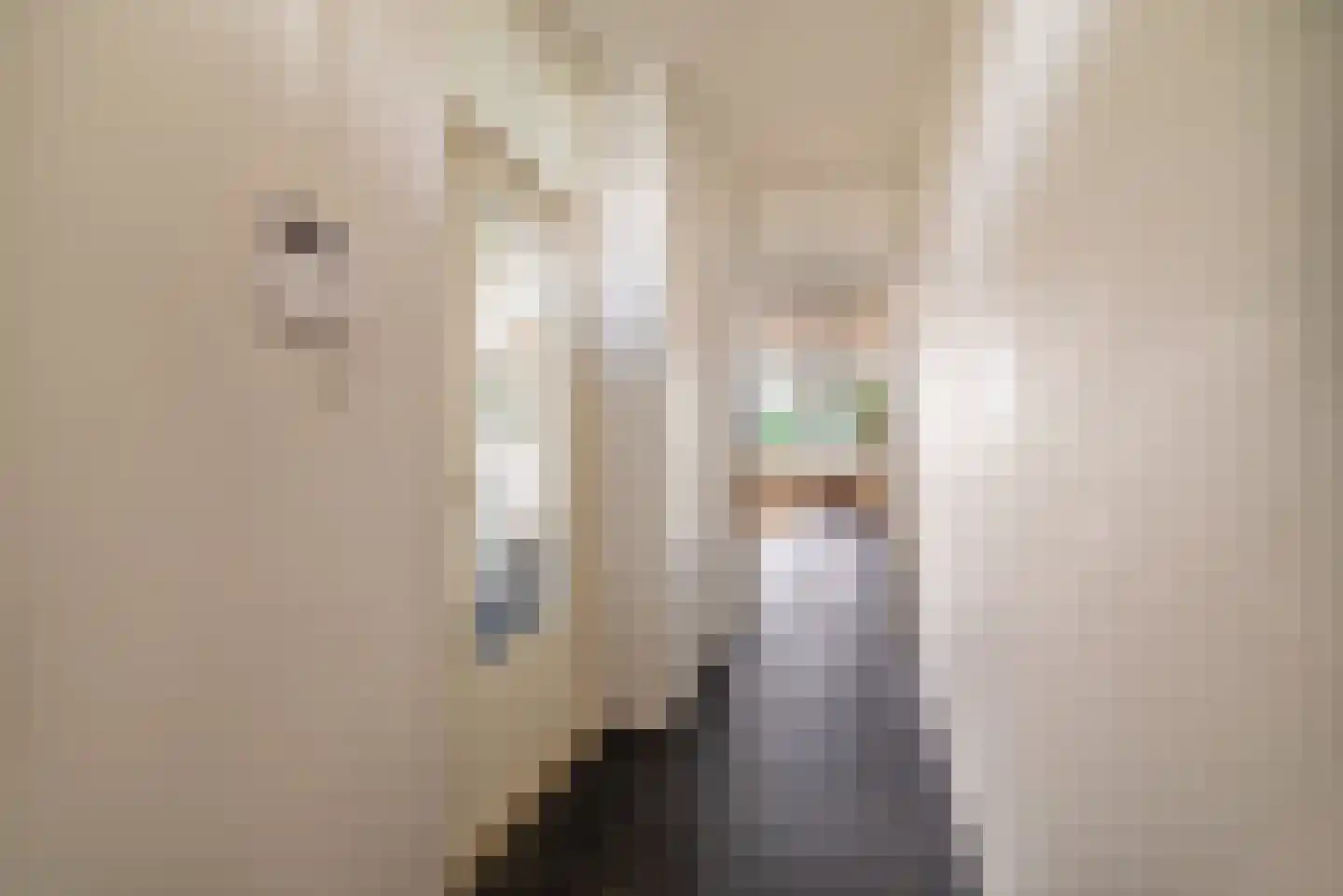 Grubbehoeve 530 Amsterdam thumbnail 20
