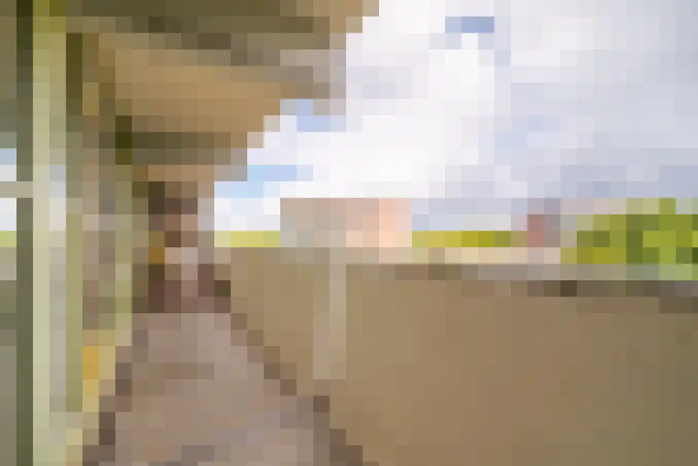 Grubbehoeve 530 Amsterdam thumbnail 21