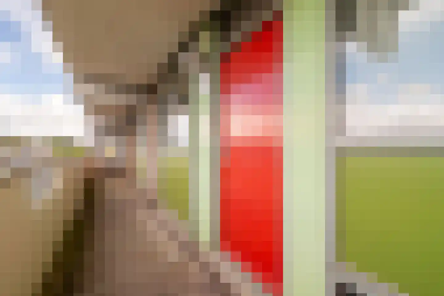 Grubbehoeve 530 Amsterdam thumbnail 22