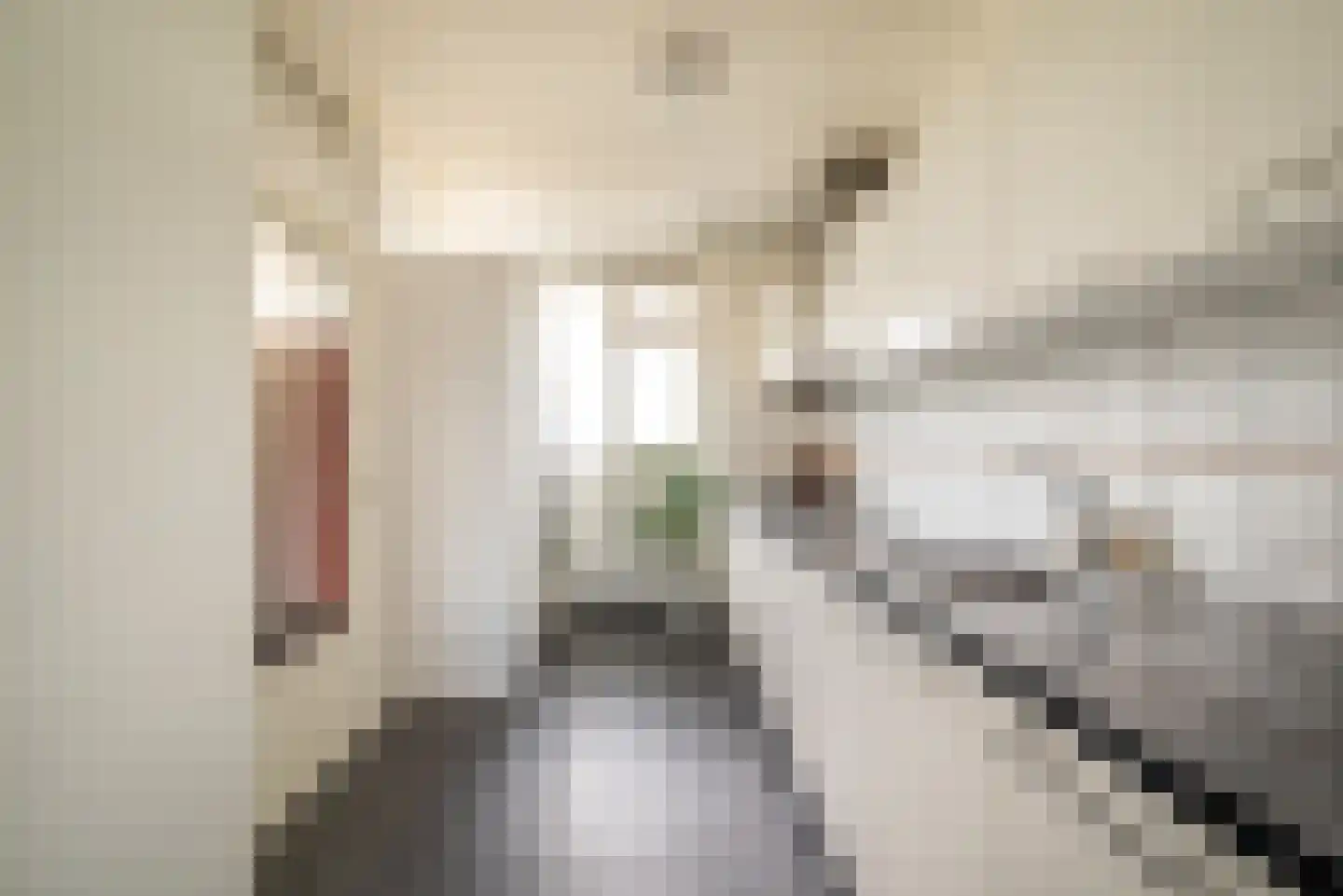 Grubbehoeve 530 Amsterdam thumbnail 9