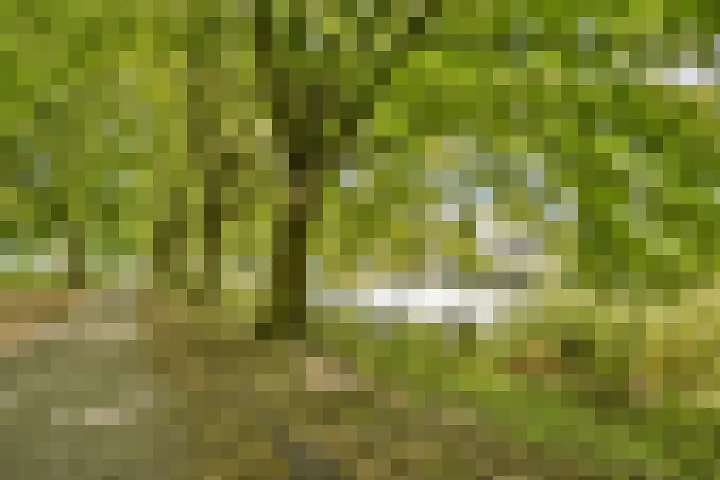 Grubbehoeve 619 Amsterdam thumbnail 20
