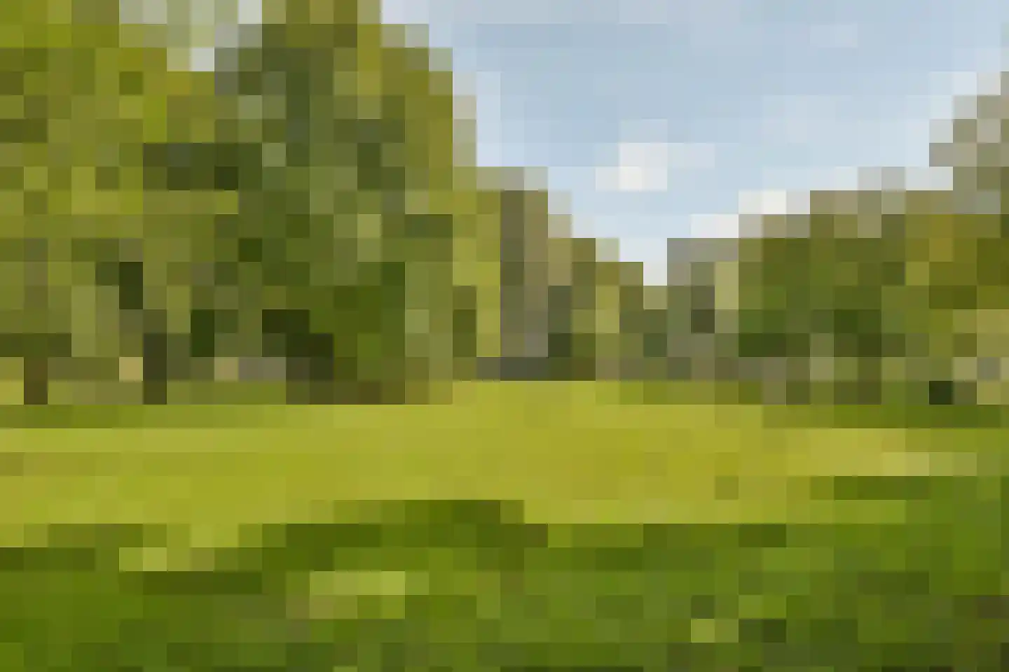 Grubbehoeve 619 Amsterdam thumbnail 21