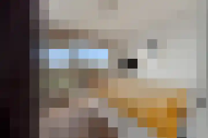 Grubbehoeve 718 Amsterdam thumbnail 17