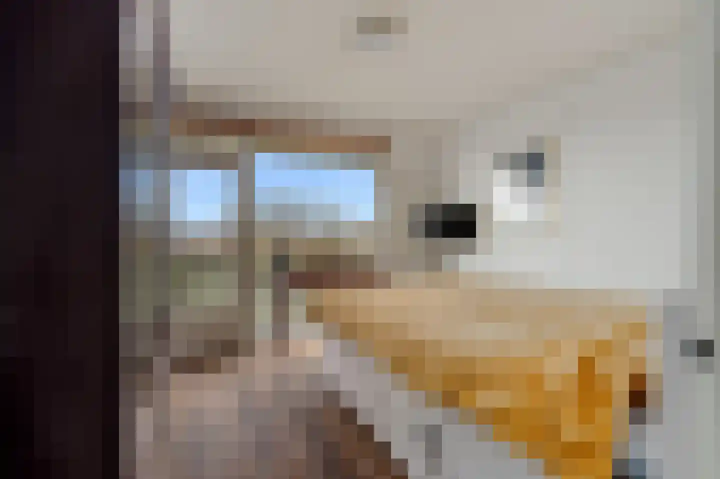 Grubbehoeve 718 Amsterdam thumbnail 17