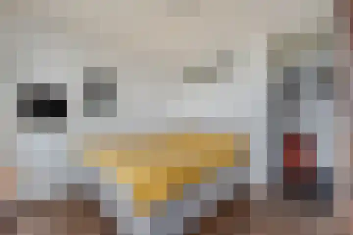 Grubbehoeve 718 Amsterdam thumbnail 18