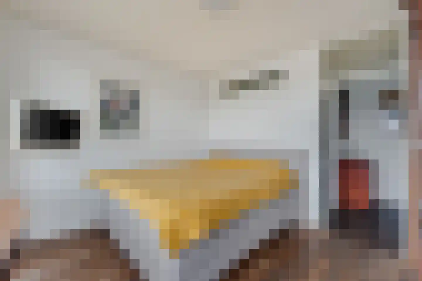 Grubbehoeve 718 Amsterdam thumbnail 18