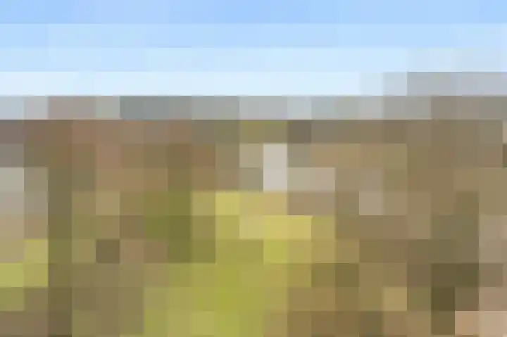 Grubbehoeve 718 Amsterdam thumbnail 21