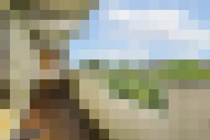 Grubbehoeve 721 Amsterdam thumbnail 6