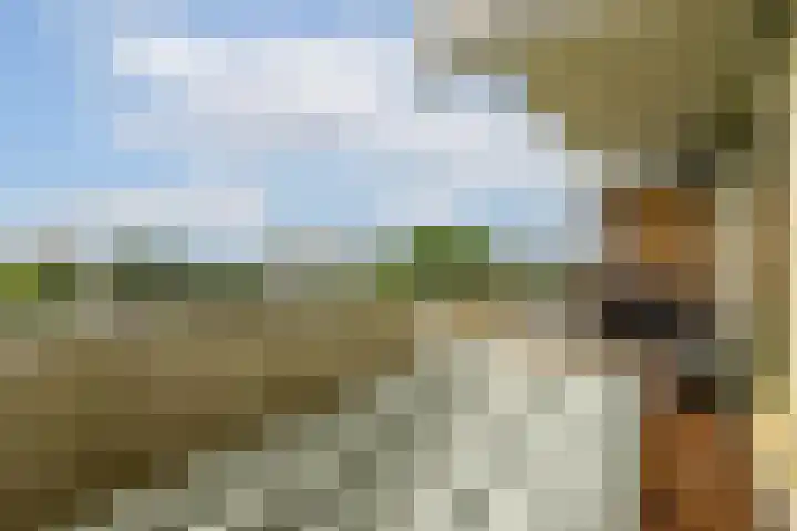 Grubbehoeve 721 Amsterdam thumbnail 7