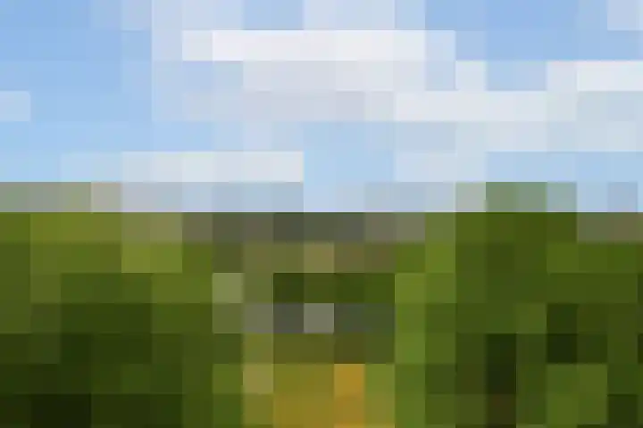 Grubbehoeve 721 Amsterdam thumbnail 8