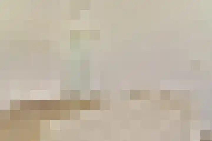 Grubbehoeve 725 Amsterdam thumbnail 15