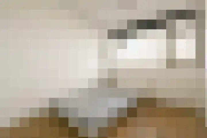 Grubbehoeve 725 Amsterdam thumbnail 25