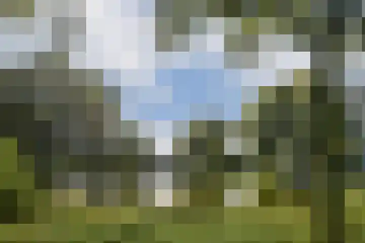 Grubbehoeve 725 Amsterdam thumbnail 27