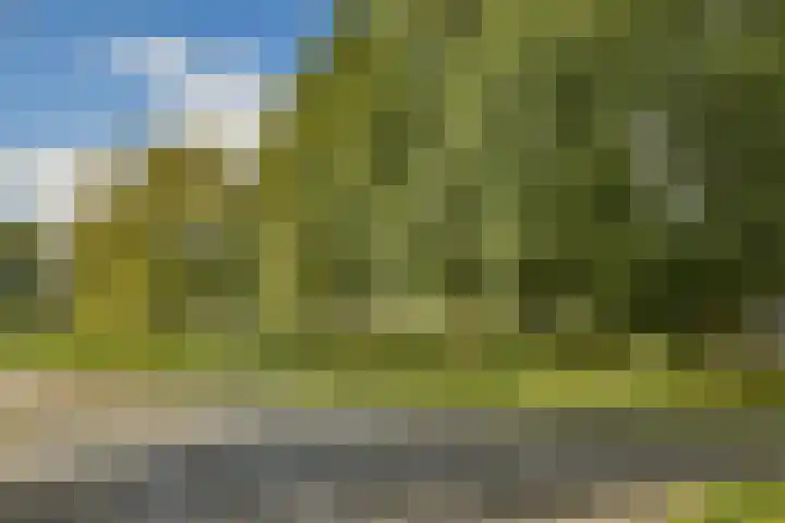 Grubbehoeve 725 Amsterdam thumbnail 28