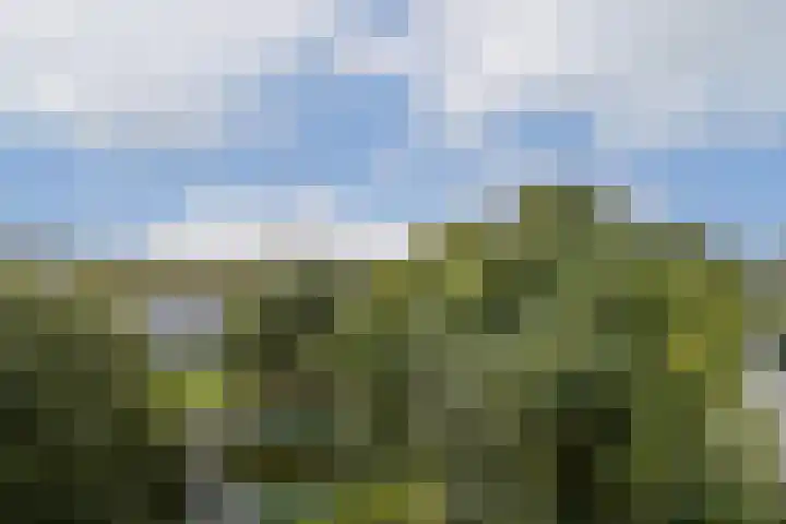 Grubbehoeve 725 Amsterdam thumbnail 6