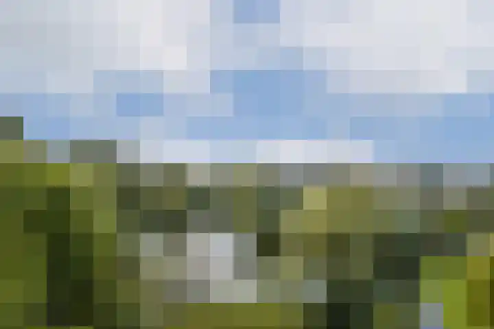 Grubbehoeve 725 Amsterdam thumbnail 7