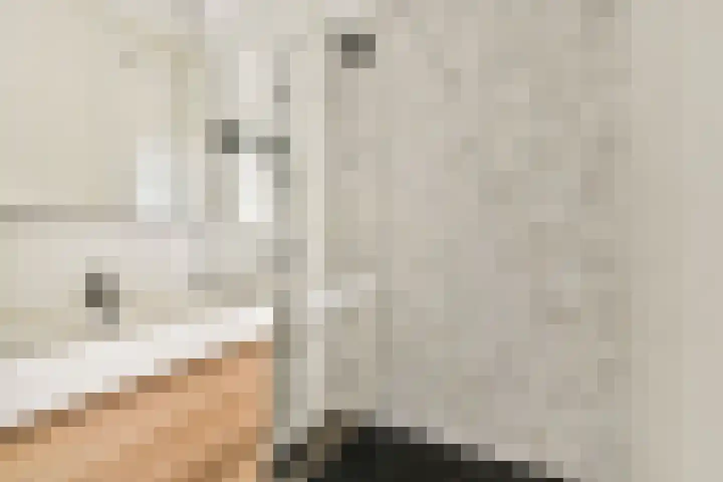 Grubbehoeve 820 Amsterdam thumbnail 15