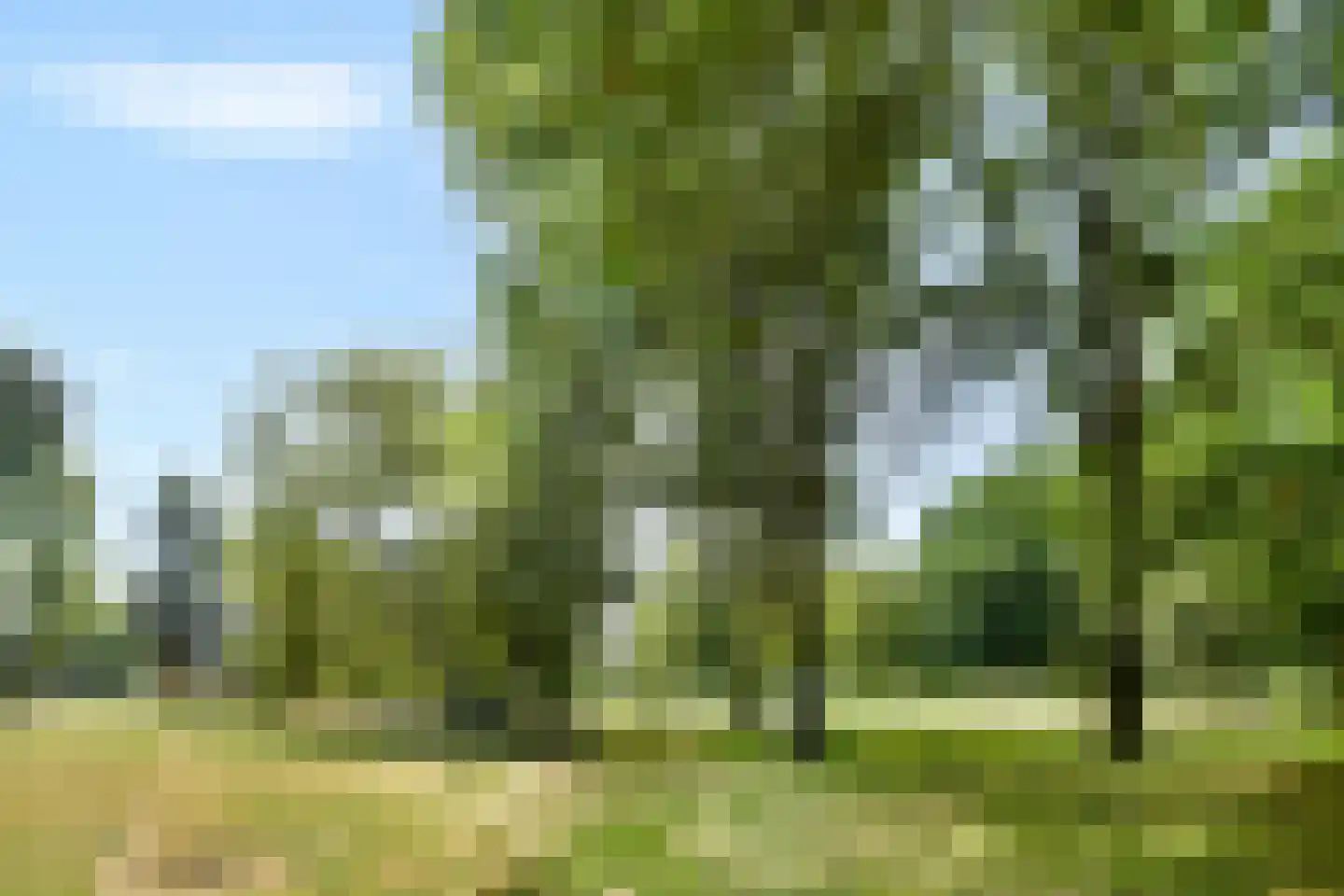 Grubbehoeve 820 Amsterdam thumbnail 21